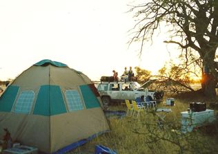 Kgalagadi Transfrontier Park